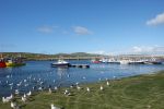 PICTURES/Ring of Kerry - Valentia Island/t_DSC00321.JPG
